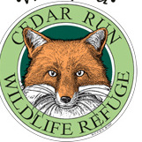 Fox Frolic Night Hike - logo